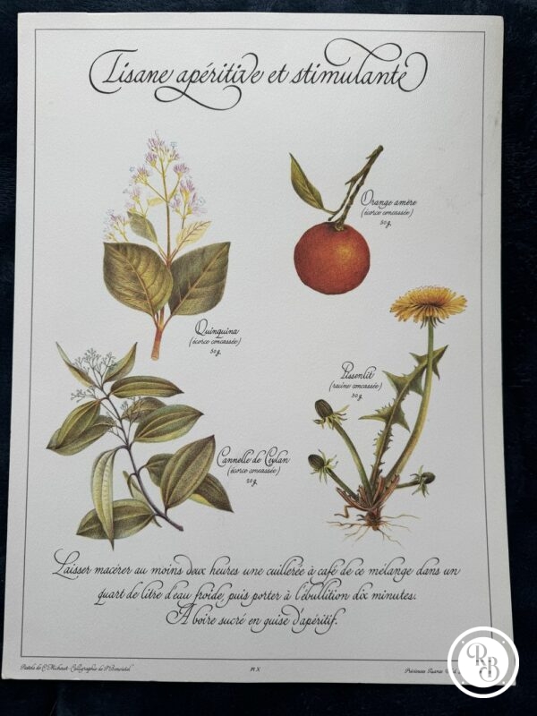 Affiche Planche X - "Précieuses Tisanes" éditée en 1982 par L. Pariente - Pastels de Michaud et Calligraphie de Benoistel - Plantes médicinales - Botanique - Herboristerie - Naturopathie