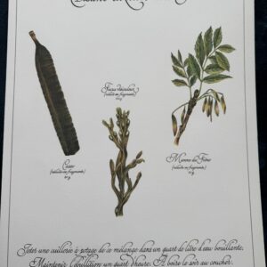 Affiche/Planche XII - "Précieuses Tisanes" éditée en 1982 par L. Pariente - Pastels de Michaud et Calligraphie de Benoistel - Plantes médicinales - Botanique - Herboristerie - Naturopathie