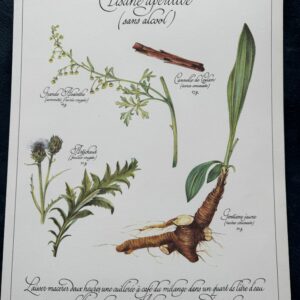 Affiche/Planche XI - "Précieuses Tisanes" éditée en 1982 par L. Pariente - Pastels de Michaud et Calligraphie de Benoistel - Plantes médicinales - Botanique - Herboristerie - Naturopathie