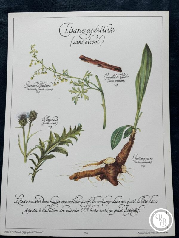 Affiche/Planche XI - "Précieuses Tisanes" éditée en 1982 par L. Pariente - Pastels de Michaud et Calligraphie de Benoistel - Plantes médicinales - Botanique - Herboristerie - Naturopathie