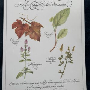 Affiche/Planche II - "Précieuses Tisanes" éditée en 1982 par L. Pariente - Pastels de Michaud et Calligraphie de Benoistel - Plantes médicinales - Botanique - Herboristerie - Naturopathie