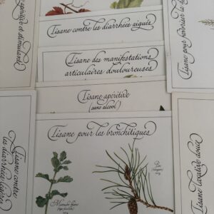 Lot de 9 Affiches/Planches - "Précieuses Tisanes" éditées en 1982 par L. Pariente - Pastels de Michaud et Calligraphie de Benoistel - Plantes médicinales - Botanique - Herboristerie - Naturopathie